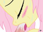  fellatio female fluttershy_(mlp) friendship friendship_is_magic horse is little lowgravity magic male mammal my my_little_pony oral oral_sex penis pony sex straight 