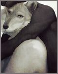  canine duo gay hug kamui kamui_(artist) male mammal nude wolf 