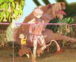  boots chain-link_fence feathers fence flower hole_in_fence long_hair midriff mokeo monkey original pink_hair purple_eyes shorts tail 