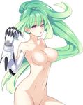  breasts choujigen_game_neptune green_hair green_heart large_breasts nippleless nude nude_filter oppai photoshop tsunako 