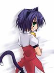  animal_ears cat_ears green_eyes kyouran_kazoku_nikki looking_back midarezaki_kyouka purple_hair short_hair solo tail yuizaki_hizumi 