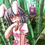  animal_ears bangs bunny_ears commentary_request inaba_tewi multiple_girls reisen_udongein_inaba tokiniwa touhou 