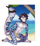  anthro beach blue blue_fur blue_sky bulge cat celestina clothed clothing collar eyewear feline fur glasses leopard looking_at_viewer male mammal nelson nelson_jenkins ocean outside palm_tree pose purple_eyes sand sea seaside skimpy snow_leopard solo speedo swimsuit taasla topless underwear water 