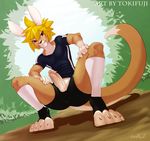  clothing crouching hair kangaroo legwear licking licking_lips looking_at_viewer male mammal marsupial penis solo toeless_socks tokifuji tongue 