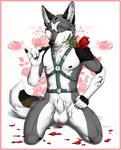  anthro balls black black_nipples black_nose brown canine chest_tuft claws flaccid flower fur green_eyes grey grey_fur harness kneeling looking_at_viewer male mammal markings nipples nude penis rose safety_belt sheath solo teeth thighs truegrave9 tuft white wolf 