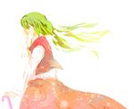  ascot dress dress_shirt green_hair kazami_yuuka kizoku-chan shirt short_hair solo touhou umbrella 