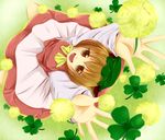  animal_ears arms_up brown_eyes brown_hair cat_ears chen clover dress four-leaf_clover from_above happy hat kneeling looking_up open_mouth outstretched_arms rikkunia smile solo touhou 