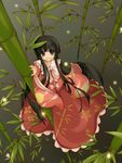  bamboo bamboo_forest black_eyes black_hair bow bowtie forest from_above houraisan_kaguya long_hair looking_down nature solo touhou 