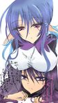  1girl blue_hair breast_rest breasts breasts_on_head judith large_breasts pointy_ears purple_eyes tales_of_(series) tales_of_vesperia translation_request yuri_lowell 