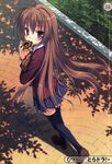  absurdres aisaka_taiga black_legwear blazer blush brown_eyes brown_hair doughnut eating food from_above highres jacket long_hair looking_up muririn pastry scan school_uniform skirt solo thighhighs toradora! tree_shade very_long_hair zettai_ryouiki 