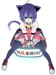  animal_ears cat_ears kurosho kyouran_kazoku_nikki midarezaki_kyouka solo thighhighs 