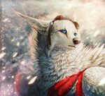  blue_eyes canine coyote eyewear female feral fluffy fur goggles mammal solo tatchit white_fur wings 