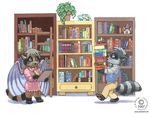  blue_eyes book brown_hair cub dragon female hair kacey library male mammal purple_eyes raccoon reptile scalie shell shelves stripes turtle wings young 