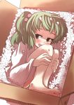  blush box full_body gaoo_(frpjx283) green_eyes green_hair hair_bobbles hair_ornament highres in_box in_container kisume open_mouth short_hair smile solo touhou twintails 