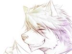  dog husky kouya kouya_aotsuki male mammal morenatsu solo unknown_artist 