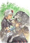  animal animal_ears bad_id bad_pixiv_id brown_eyes hat inubashiri_momiji kobuushi licking profile short_hair silver_hair sitting smile solo tokin_hat touhou traditional_media watercolor_(medium) wolf wolf_ears 