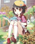  :d bad_id bad_pixiv_id bandages bird black_hair blurry blush bracelet brown_eyes bunny chick depth_of_field flower food fruit hat jewelry jin_young-in kneehighs looking_at_viewer one_side_up open_mouth original panties plaid plaid_skirt short_hair sitting skirt smile solo strawberry underwear watering_can white_legwear white_panties 