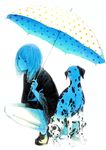  dalmatian dog full_body long_hair original polka_dot polka_dot_umbrella poncho solo sousou_(sousouworks) squatting umbrella 