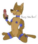  anthro blue_eyes brown_fur canine collar color_edit colored cub dildo dog edit felicity_longis female fur half-closed_eyes hi_res holidays kneeling looking_at_viewer mammal misterpickleman navel new_year nipple_bulge open_mouth pasties pussy sex_toy simple_background solo straps taylor_knight text young 