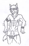  abs anthro balls biceps canine clothed clothing dog dog_tags flaccid fur greyscale hair half-dressed husky kouya kouya_aotsuki licking licking_lips looking_at_viewer male mammal monochrome morenatsu muscles nipples pecs penis pubes solo speedo standing swimsuit tongue tongue_out topless uncut underwear wolf 