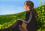  black_eyes black_legwear brown_hair condensation_trail day field flower flower_field from_side grass jacket kiriman_(souldeep) long_hair long_sleeves original outdoors ponytail profile rapeseed_blossoms school_uniform sky solo thighhighs track_jacket 