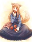  animal_ears apple food fruit holding holding_food holding_fruit holo long_hair maroko solo spice_and_wolf tail wolf_ears 