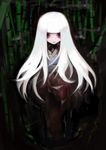  albino bamboo bamboo_forest forest long_hair nature original red_eyes solo ume_(datsuryokugen) white_hair 
