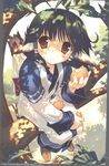  ainu_clothes animal_ears artist_request aruruw black_hair blush dog_ears eating food highres short_hair sitting solo tail utawareru_mono 