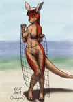  anthro beach breasts female fishing_net kangaroo looking_at_viewer mammal marsupial nipples nude pussy rebecca seaside solo standing tachyon 