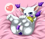  &hearts; bed blue_eyes blush butt digimon female fluffy fur gatomon looking_at_viewer lying on_bed plump_labia pussy seigen shy solo white_fur 