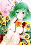  bad_id bad_pixiv_id breasts flower green_hair holding kazami_yuuka medium_breasts petals plaid red_eyes ribbon short_hair sitting skirt smile solo sunflower touhou umbrella vest yamada_ranga yellow_ribbon 