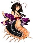  antennae arthropod artist_request black_hair blush breasts centipede female green_eyes insect insect_girl insectoid monster monster_girl multiple_arms nipples personification pussy unknown_artist 