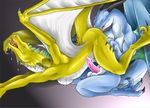  anthro balls blue_dragon blue_scales breasts cunnilingus dragon duo erection female hindpaw male narse narse_(character) non-mammal_breasts oral oral_sex paws penis plain_background sex silowyi straight vaginal wings yellow_dragon yellow_scales 