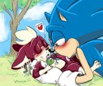  balls chip couple cum eye_contact eyes_closed fakerface gay hedgehog male penis sega sex sonic_(series) sonic_the_hedgehog tagme 