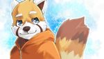  male red_panda solo tagme unknown_artist 