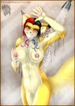  &hearts; blush breasts fluffy_tail looking_at_viewer malice mark_haynes nipples nude piercing shower yellow_eyes 