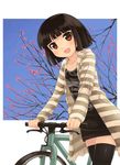  :d akemiho_tabi_nikki bad_id bad_pixiv_id bangs bicycle black_hair black_legwear blunt_bangs blush brown_eyes cherry_blossoms dress fukube_tamaki ground_vehicle hood hoodie kouno_hikaru looking_at_viewer open_mouth short_dress short_hair sky smile solo striped striped_hoodie thighhighs zettai_ryouiki 