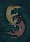  disney feline female feral kiara kissing kovu lion lioness love lynx_girl male mammal reallynxgirl straight the_lion_king 