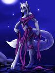  canine female fluffy_tail midnightdraven moon night water wolf 