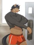  abs anthro black_hair blue_eyes boxer_briefs broad_shoulders brown_fur bulge canine clothing erection fur hair ig looking_at_viewer male mammal muscles open_mouth penis pose room shorts smile solo underwear undressing wolf 