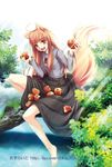  animal_ears apple barefoot brown_hair fang food fruit holding holding_food holding_fruit holo long_hair niko_(azurite) red_eyes skirt_basket solo spice_and_wolf tail wolf_ears 