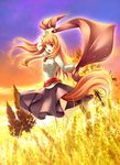  animal_ears brown_hair holo long_hair niko_(azurite) red_eyes solo spice_and_wolf tail wheat wolf_ears 