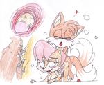  sally_acorn sonic_team tagme tails terrible-artist 