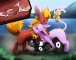  darkmirage espeon flareon pokemon umbreon 