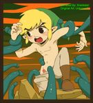  animated legend_of_zelda link the_wind_waker young_link 