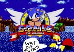  motobug sonic_the_hedgehog tagme 