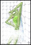  space_ghost tagme zorak 