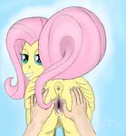  fluttershy friendship_is_magic my_little_pony tagme xyi 
