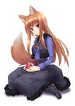  animal_ears apple brown_hair food fruit holding holding_food holding_fruit holo long_hair minamino_kanata red_eyes solo spice_and_wolf tail wolf_ears 