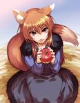  animal_ears apple brown_hair food fruit hisahiko holding holding_food holding_fruit holo red_eyes solo spice_and_wolf tail wolf_ears 